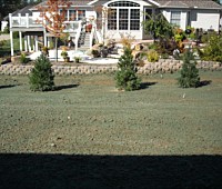 Hydroseeding and Sod