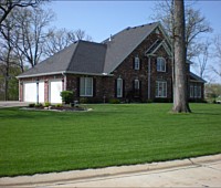 Hydroseeding and Sod