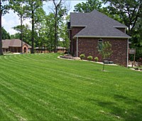 Hydroseeding and Sod