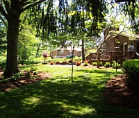 Hydroseeding and Sod